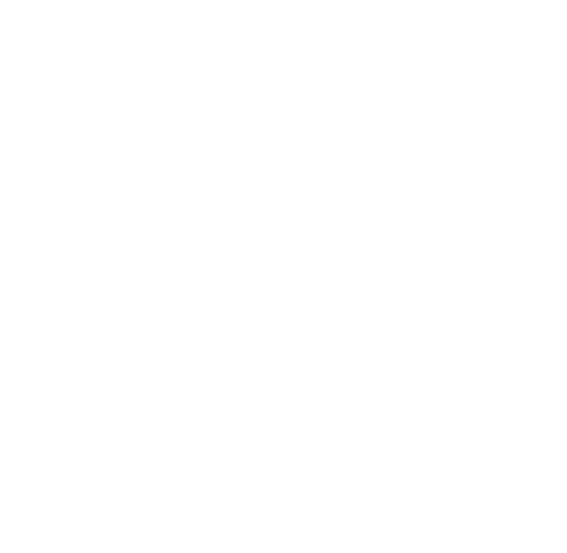 SNC_LOGO W@150x